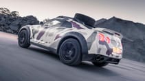 _dsc9175noelvanbilsen_-_nissan_gtr_offroad_.jpg