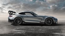 tg_amg_gt_bs_3.jpg