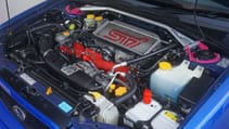 dsc02225a_1.jpg