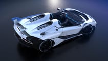 sc20207.jpg