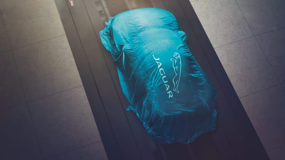 jaguar_silk_image_.jpg