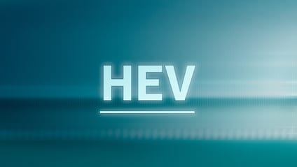 HEV