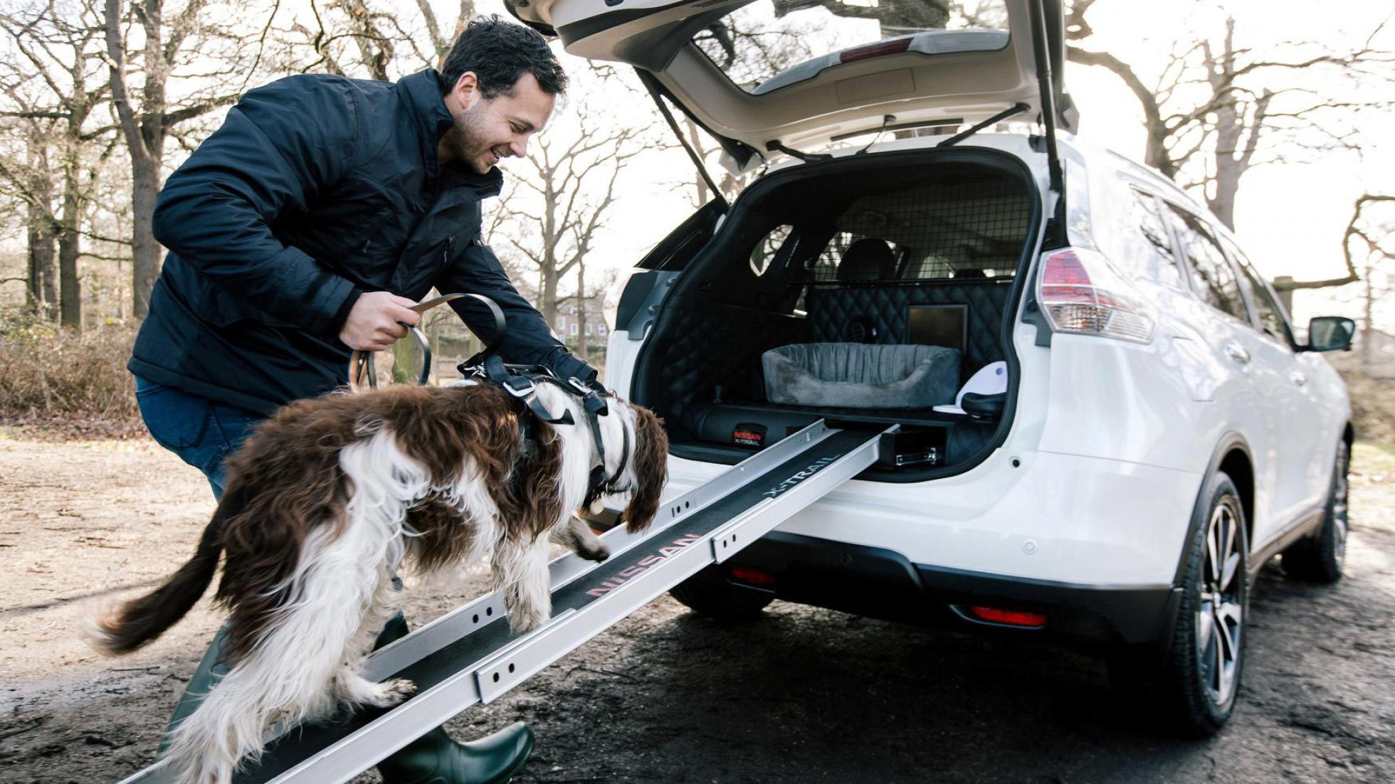 Best car for giant new arrivals breed dogs