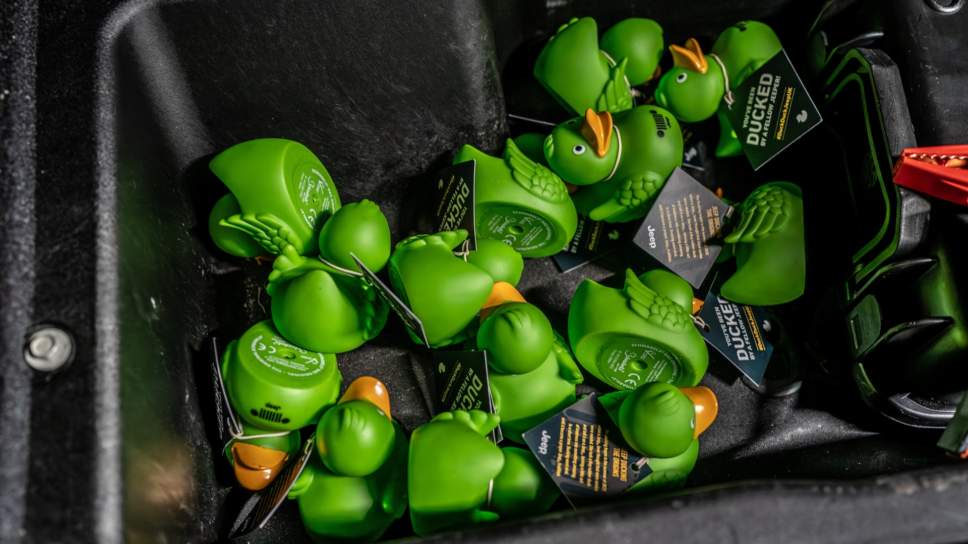 Wrangler Rubicon Report 5