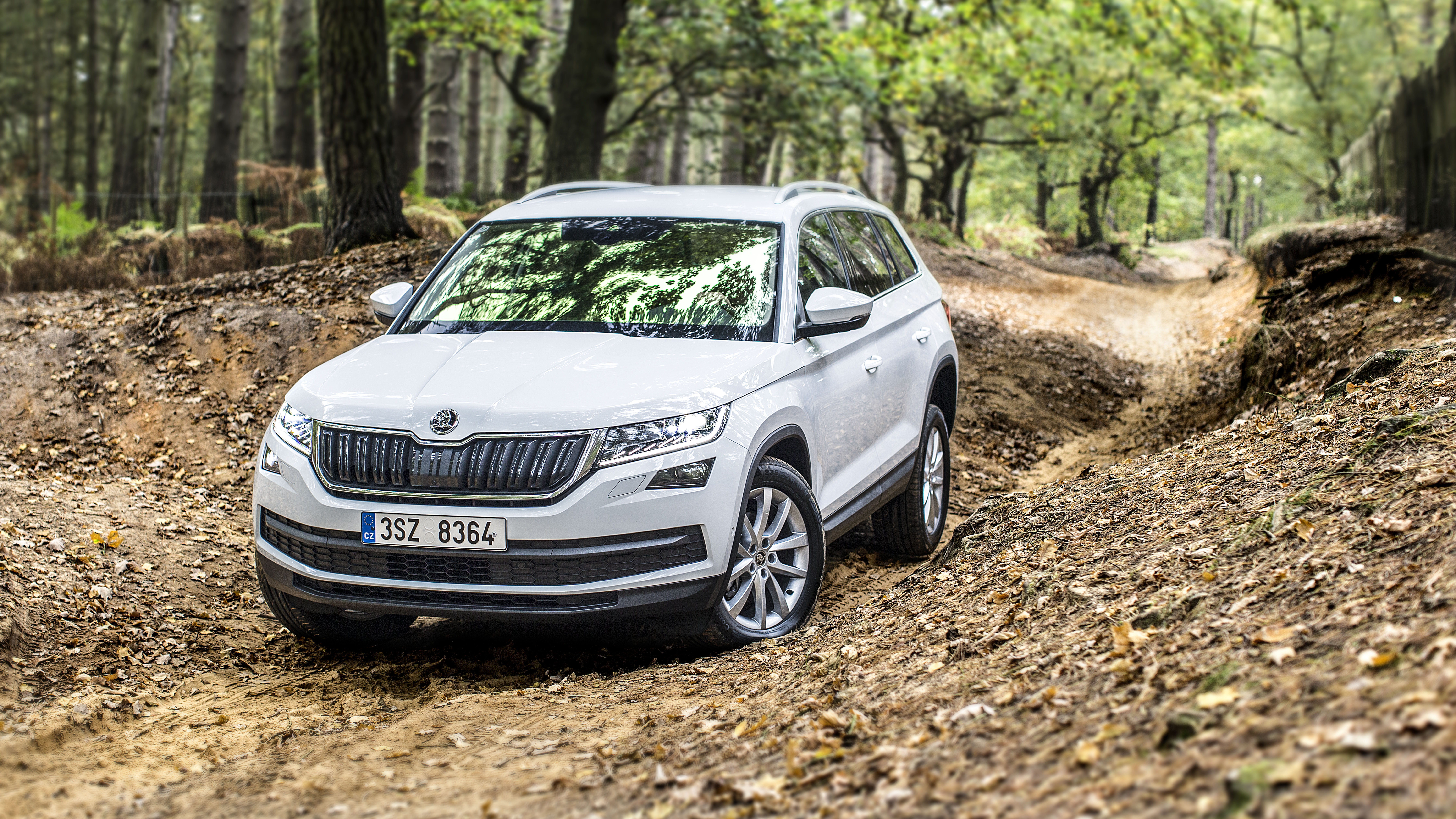 Шкода кодиак в воронеже. Шкода Кодиак. Skoda Kodiaq White. Шкода Кодиак белый. Skoda Kodiaq белый.