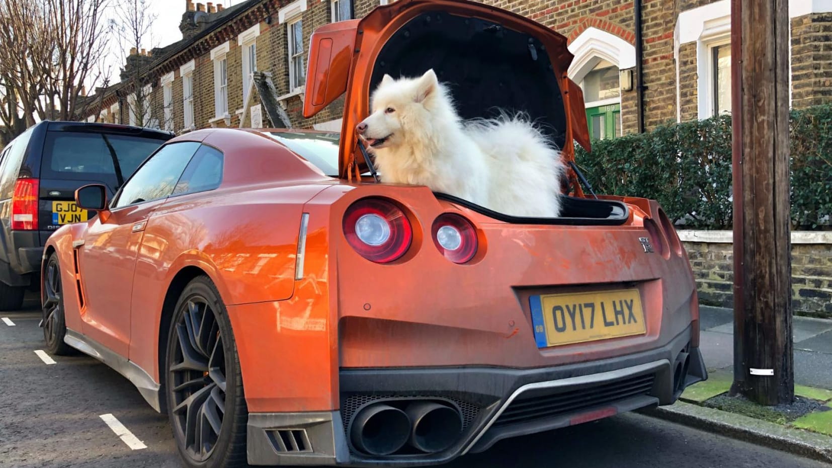Top Gear’s Top 9 the best cars for dogs Top Gear
