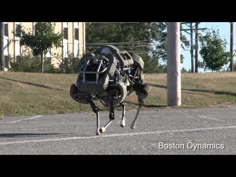 Boston deals dynamics wildcat