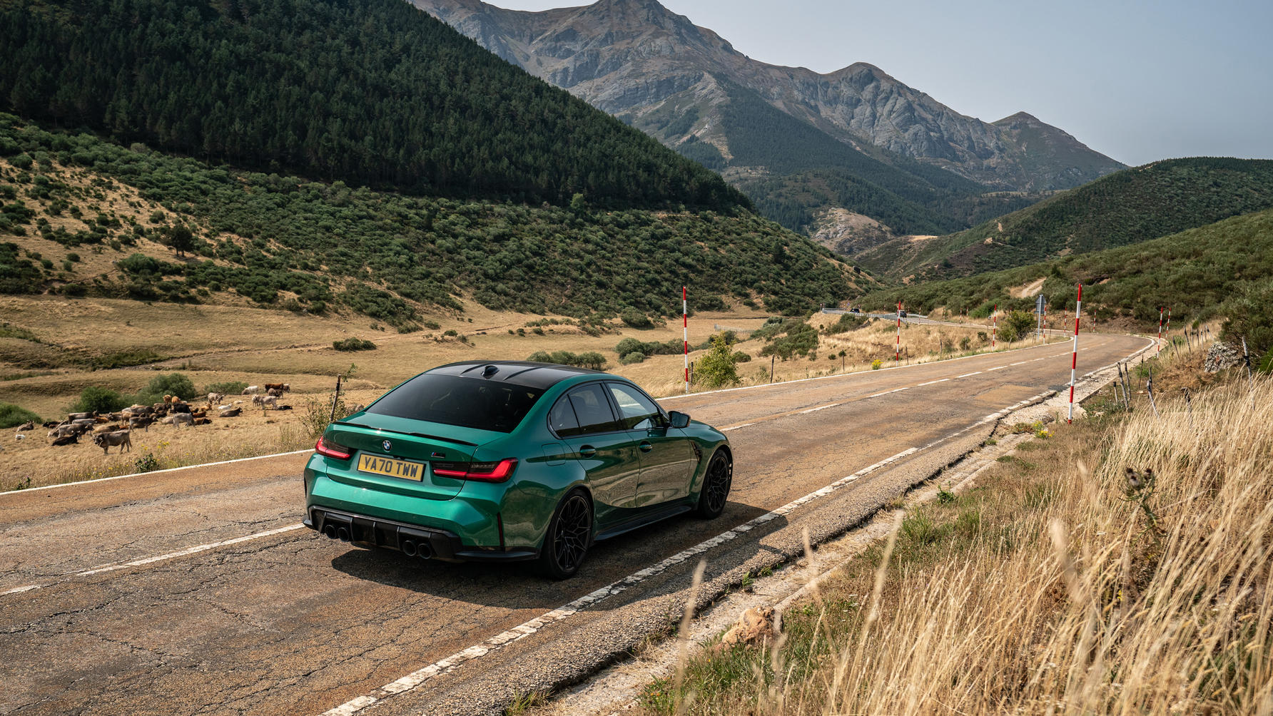 2021 BMW M4 Competition Review: Smells Like Success