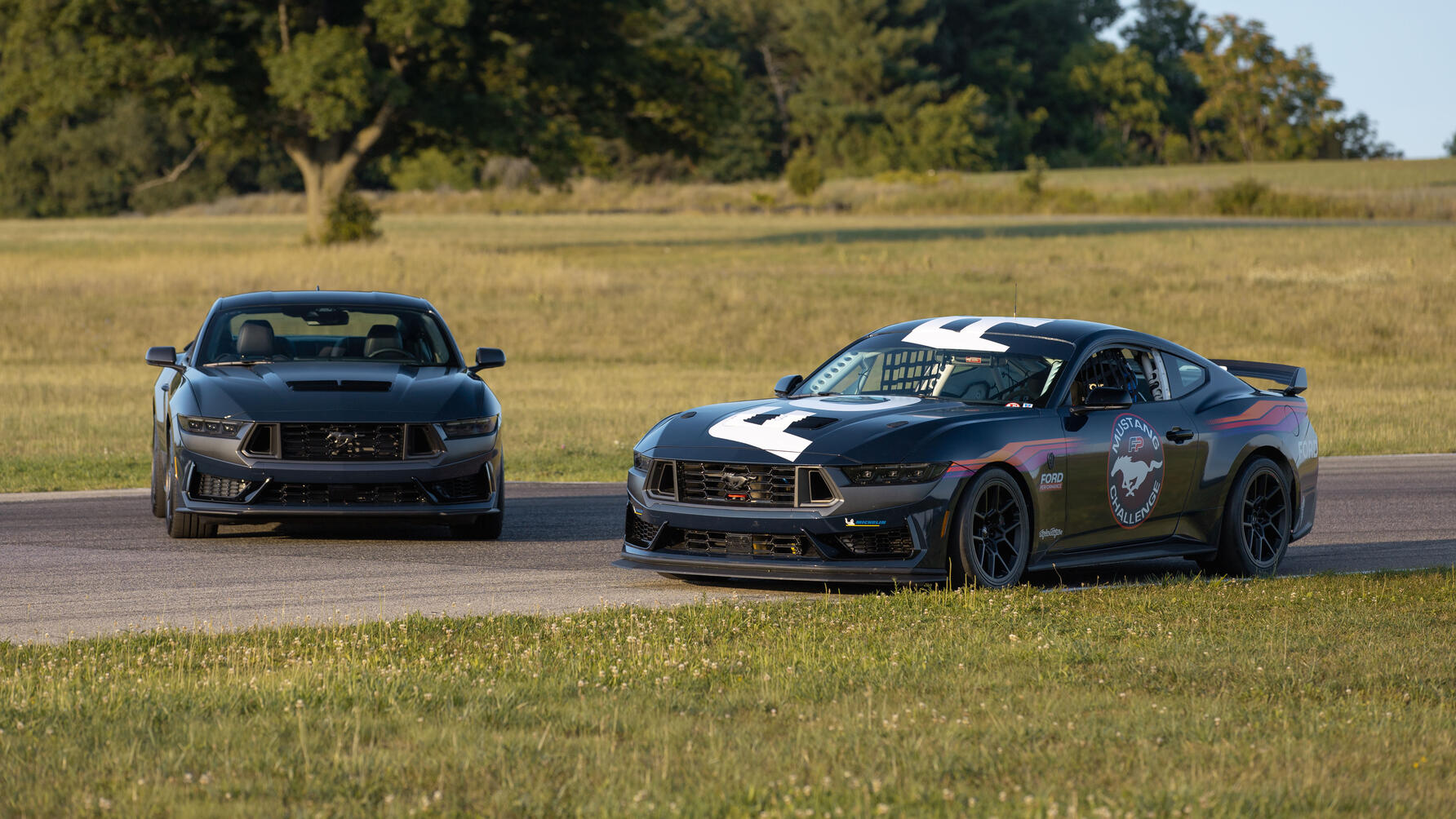 Ford Mustang Dark Horse R track car revealed 2023
