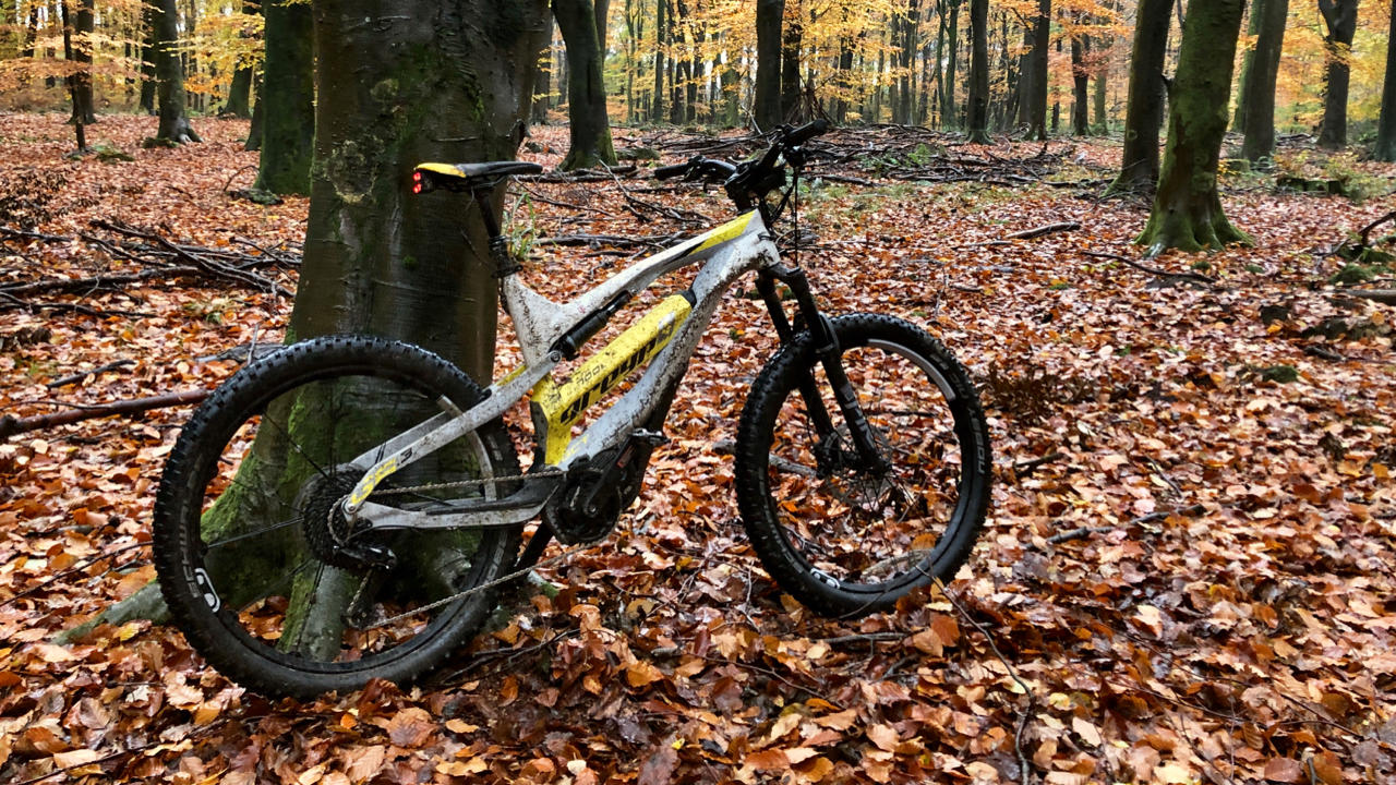 saracen zen1